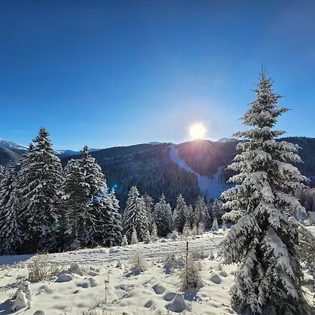 Claassen Ferienhaus Turracher Hohe