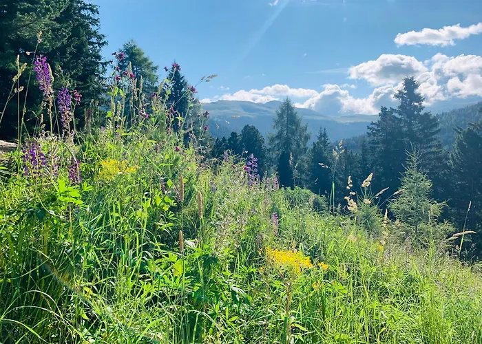 Claassen Dom wakacyjny